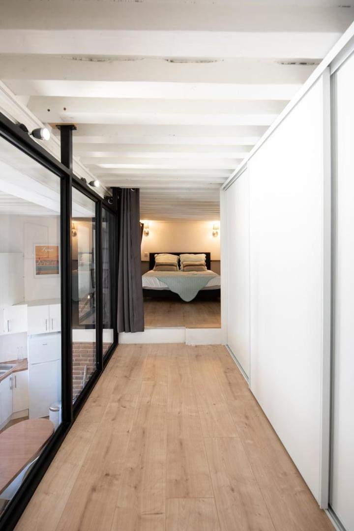 Le Ferratiere - Moderne Industriel Du Vieux Lyon Apartment Exterior photo